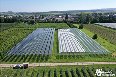 農業光伏系統 智能防護，抵御暴雨侵襲